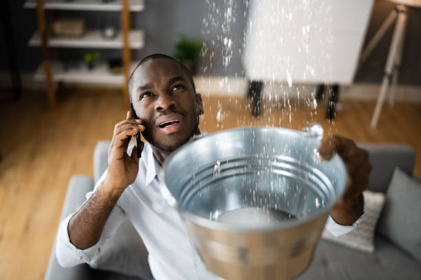Best Water damage restoration experts  in Manhattan, MT
