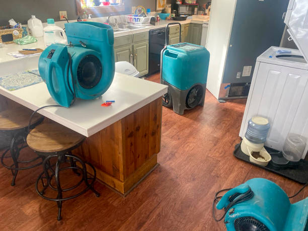 Water damage restoration experts in MT