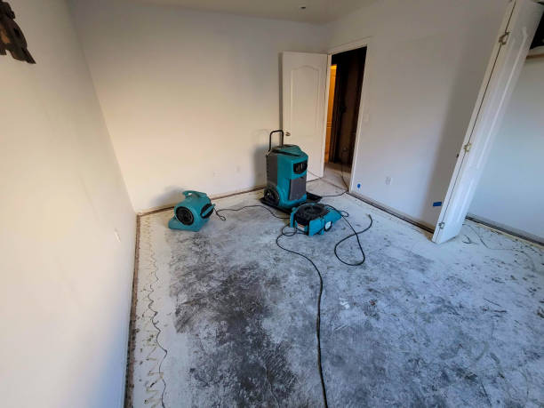 Best Mold removal after water damage  in Manhattan, MT