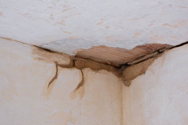  Manhattan, MT Water damage restoration Pros