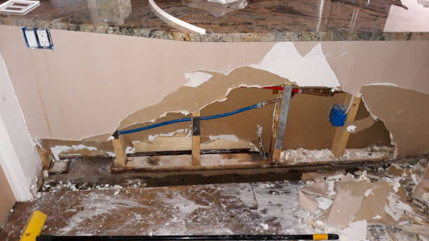 Best Water damage restoration near me  in Manhattan, MT