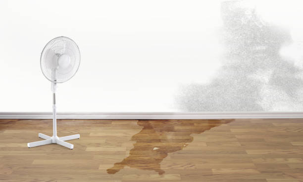  Manhattan, MT Water damage restoration Pros