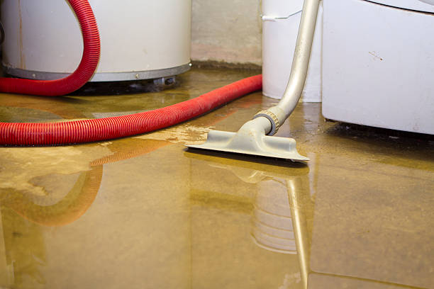 Best Professional water damage repair  in Manhattan, MT