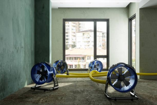 Best Mold removal after water damage  in Manhattan, MT
