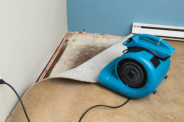Best Emergency water damage restoration  in Manhattan, MT